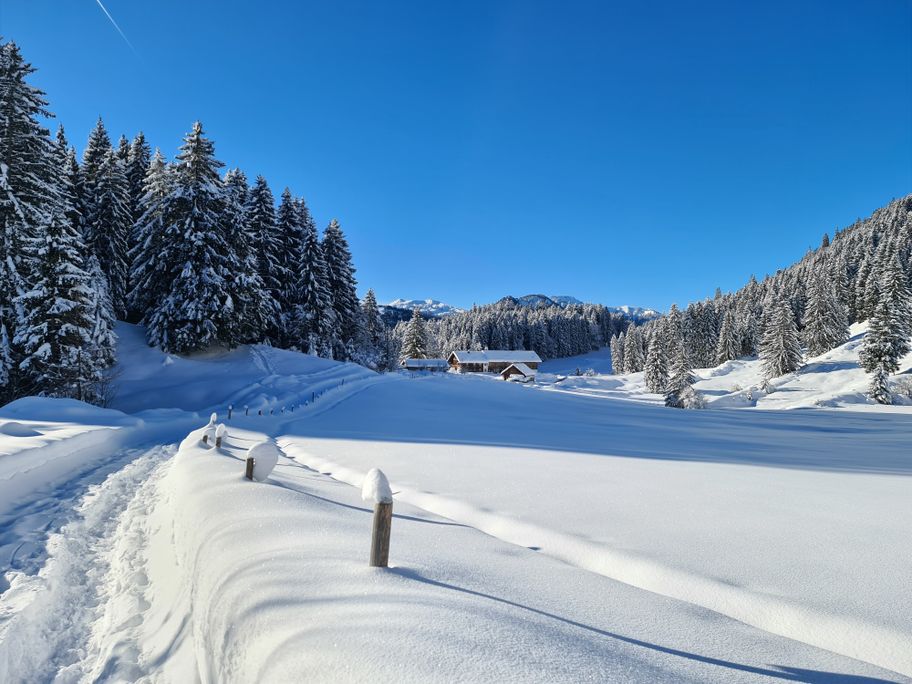 Rückblick Richtung Winkelwies Alpe