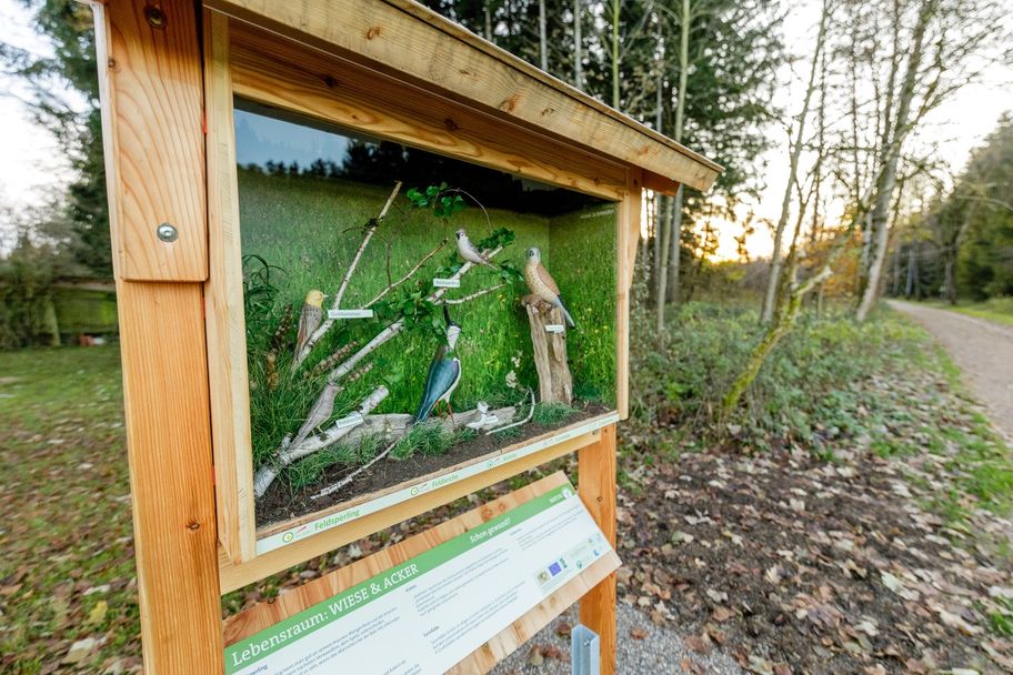 Vogelschaukasten "Wiese & Acker"