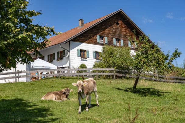 Die Alpe Kögelhof oberhalb des Kögelweihers
