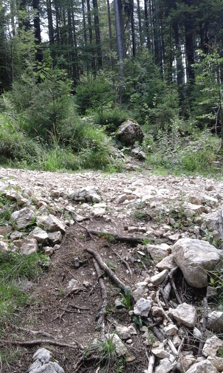 Querung des Schotterweges mit undeutlicher Wegekennzeichnung