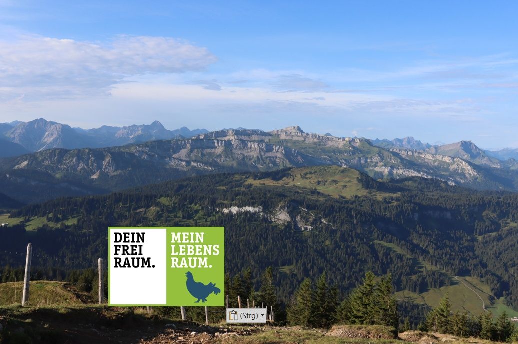 Ausblick Riedberger Horn