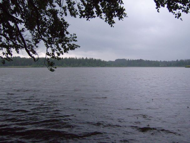 Holzmühleweiher