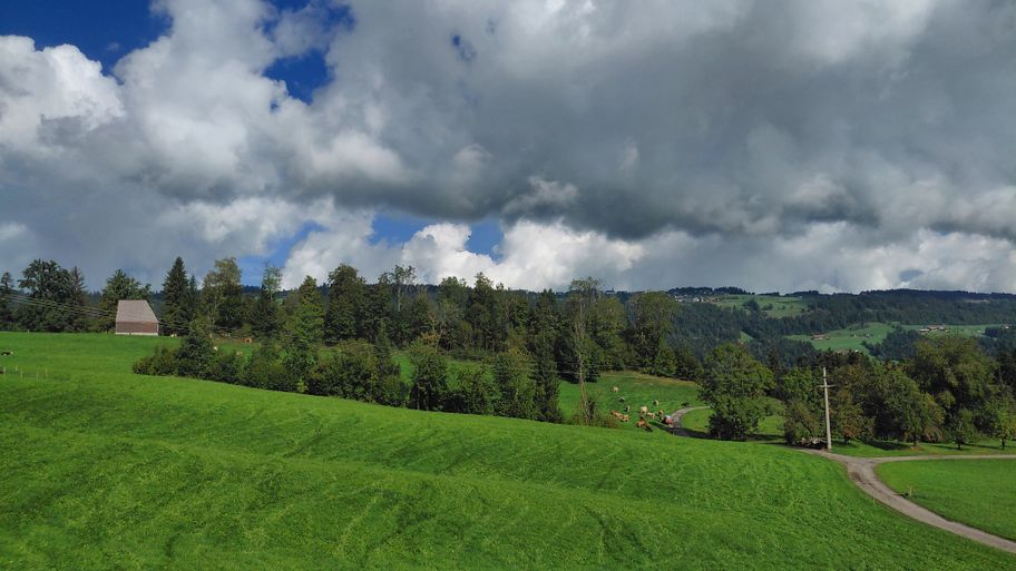 Strukturreiche Landschaft