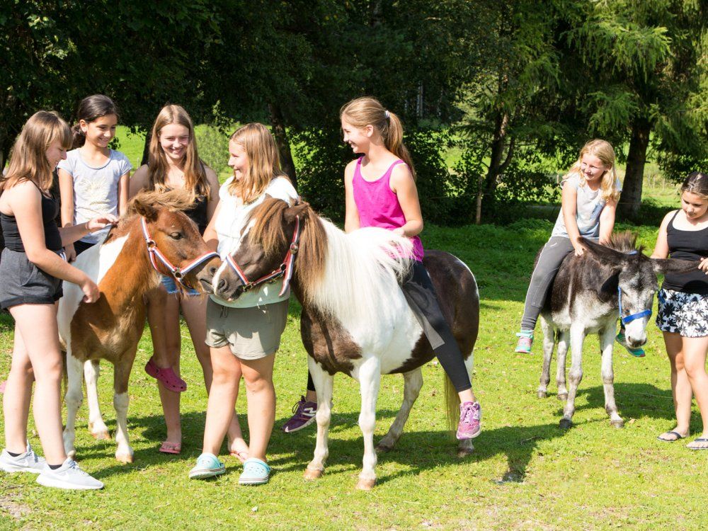 289Breyer Michl Reportage Hof - Kopie - Kopie