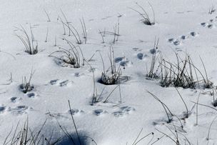 Tourist-Information Nesselwang