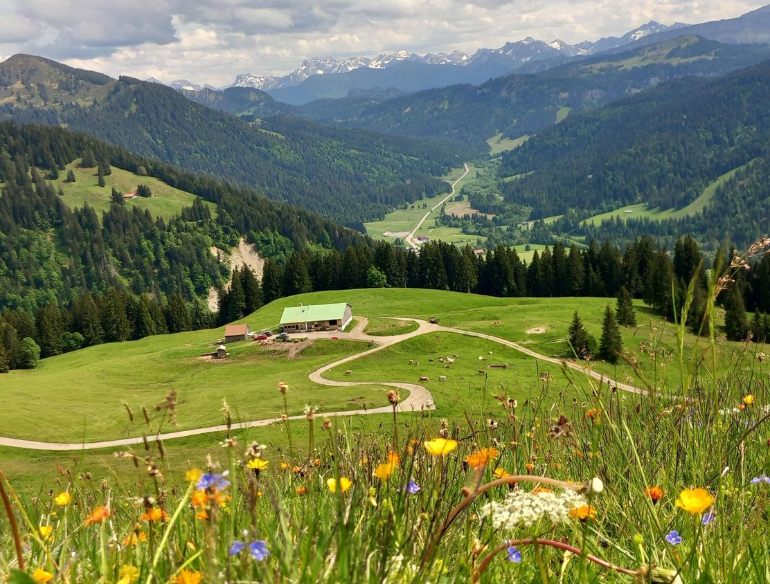 Sennalpe Oberbalderschwang