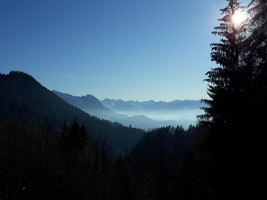 vom Grünten Blick auf Alpen
