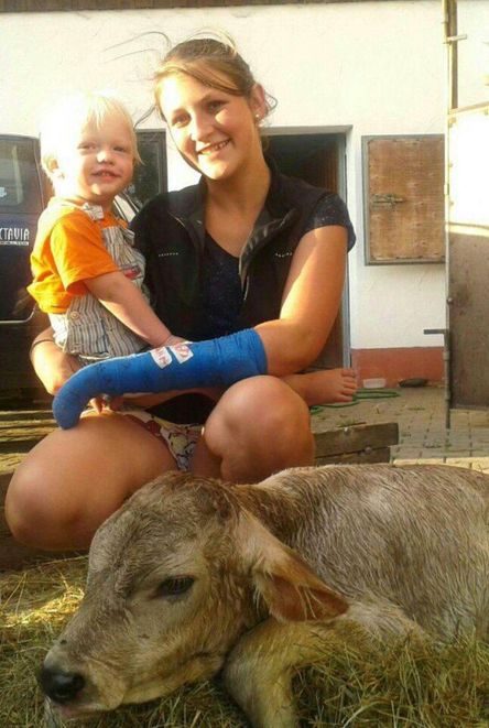 ein Kälbchen ist geboren