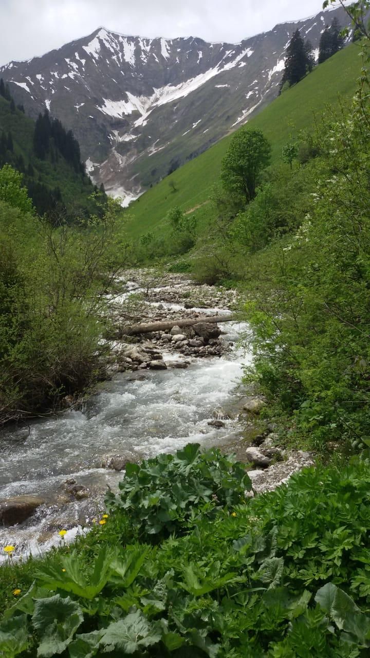 IMG-20180515-WA0050
