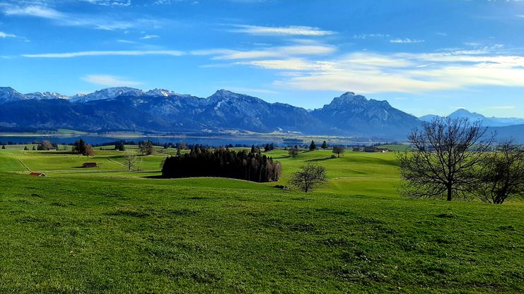 Panorama auf der Bilderbuchwanderung am Forggensee
