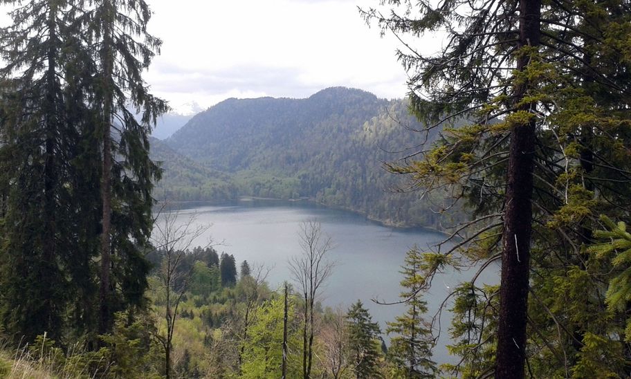 Wildromantischer Alpsee