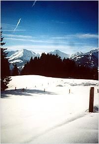 winter02