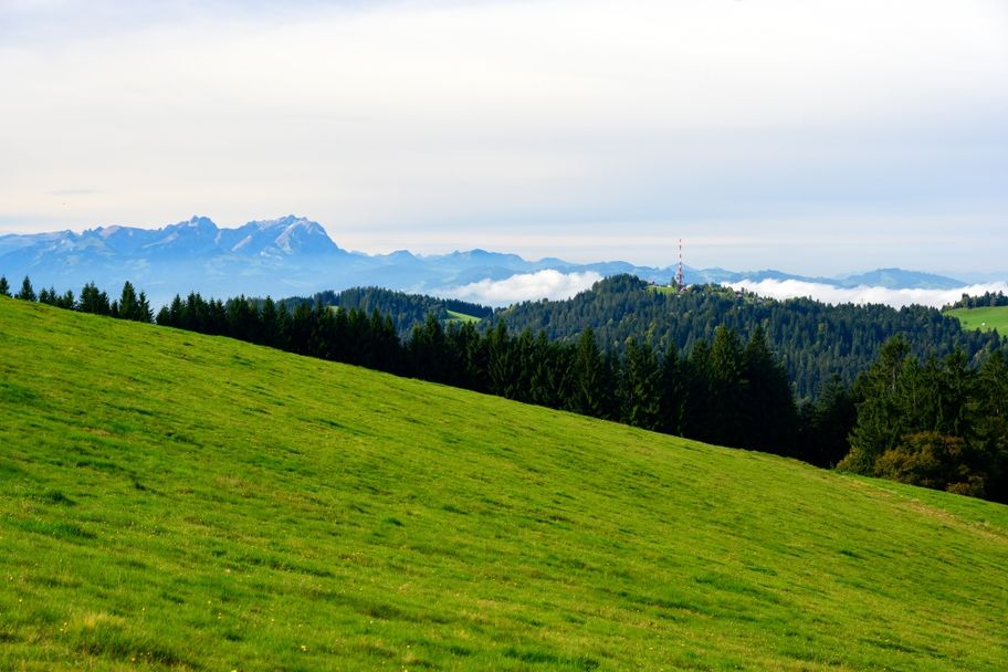 Von Langen auf den Hirschberg