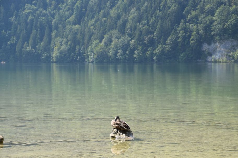 Ruhepause im Weißensee