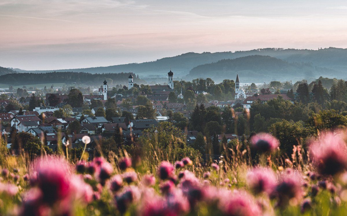 Panoramablick auf Isny von der Felderhalle