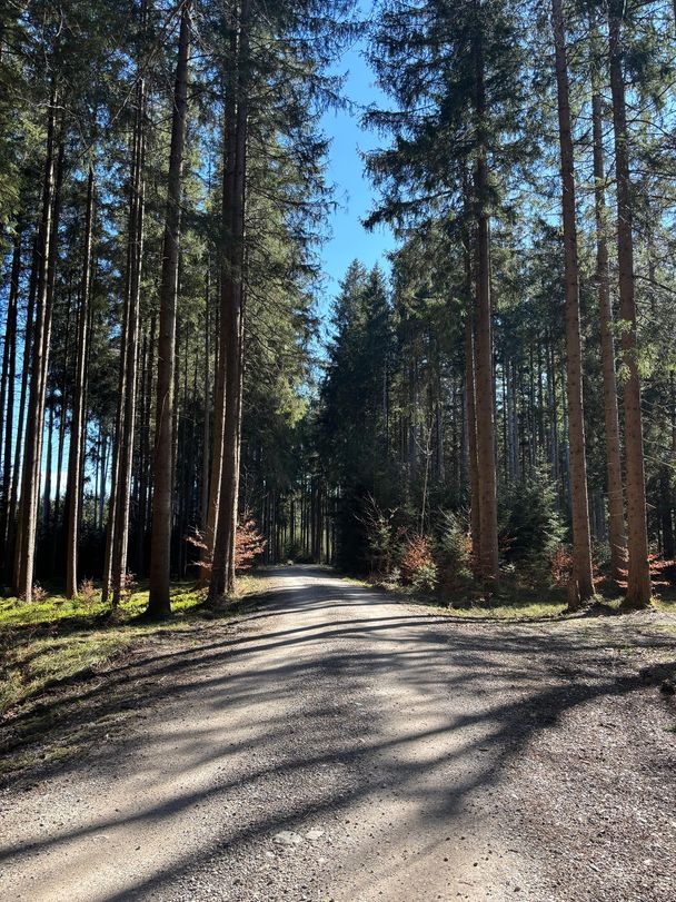 Stellenmoosrunde