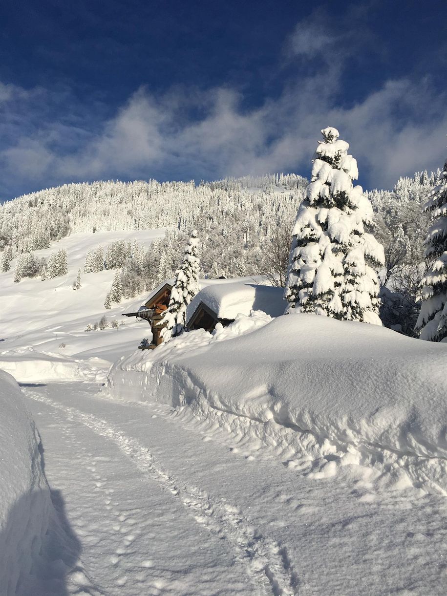 Winterwunderland