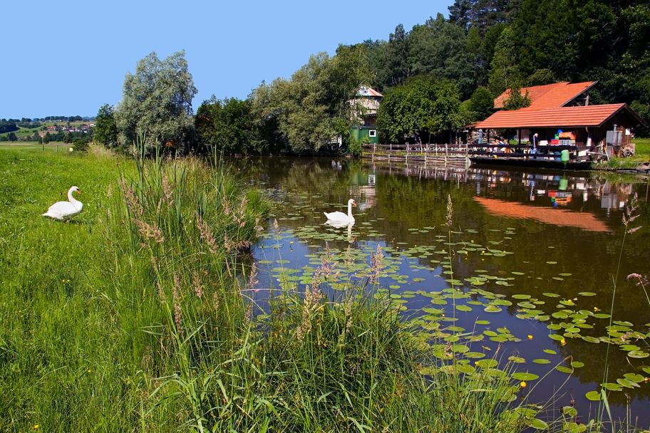 Die Fischerhütte am Widdumer Weiher