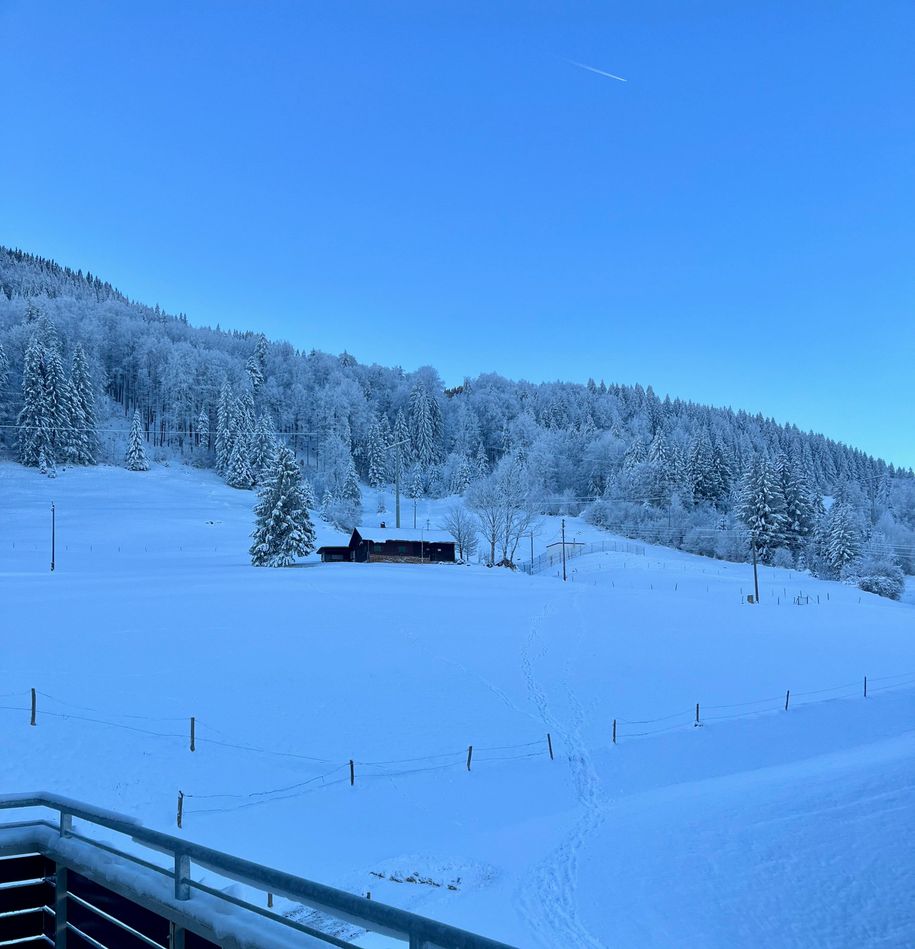 Winter vorm Balkon