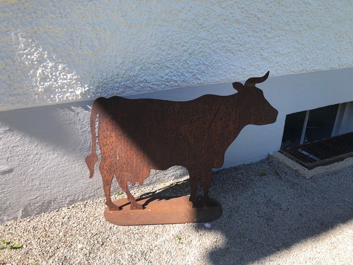 Allgäuer Kuh vor dem Haus