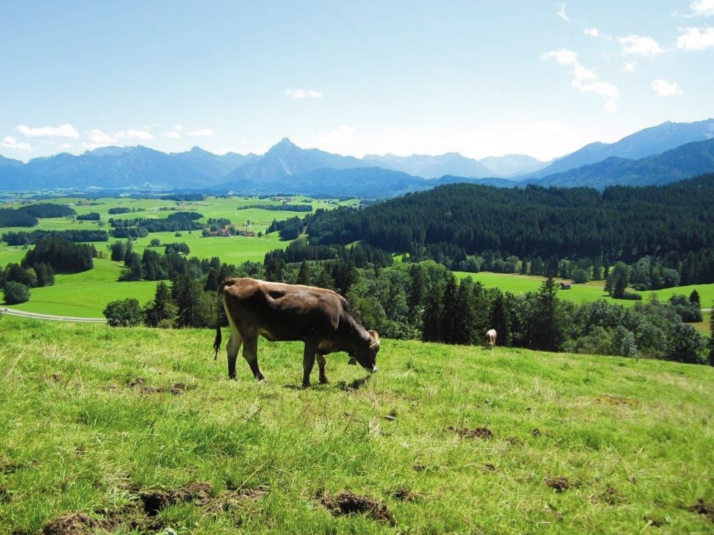 Ruchti`s Hotel & Restaurant