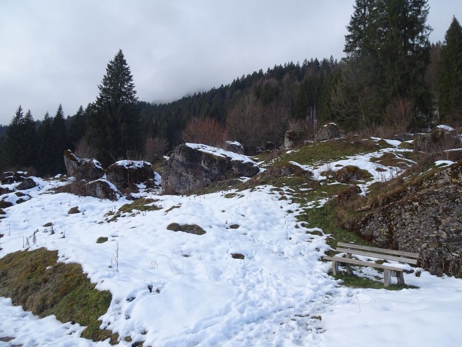 Nagelfluhbrocken - Naturpark Nagelfluhkette