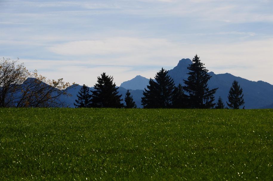 Zugspitze und Säuling