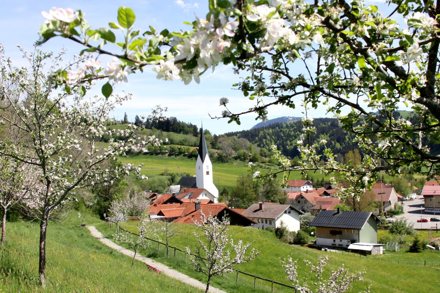 OrtsansichtMissenFrühling