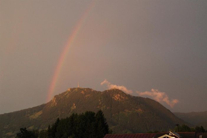 Blick auf den Grünten