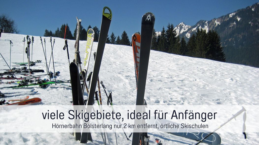 Biohof Burger familiaere Skigebiete