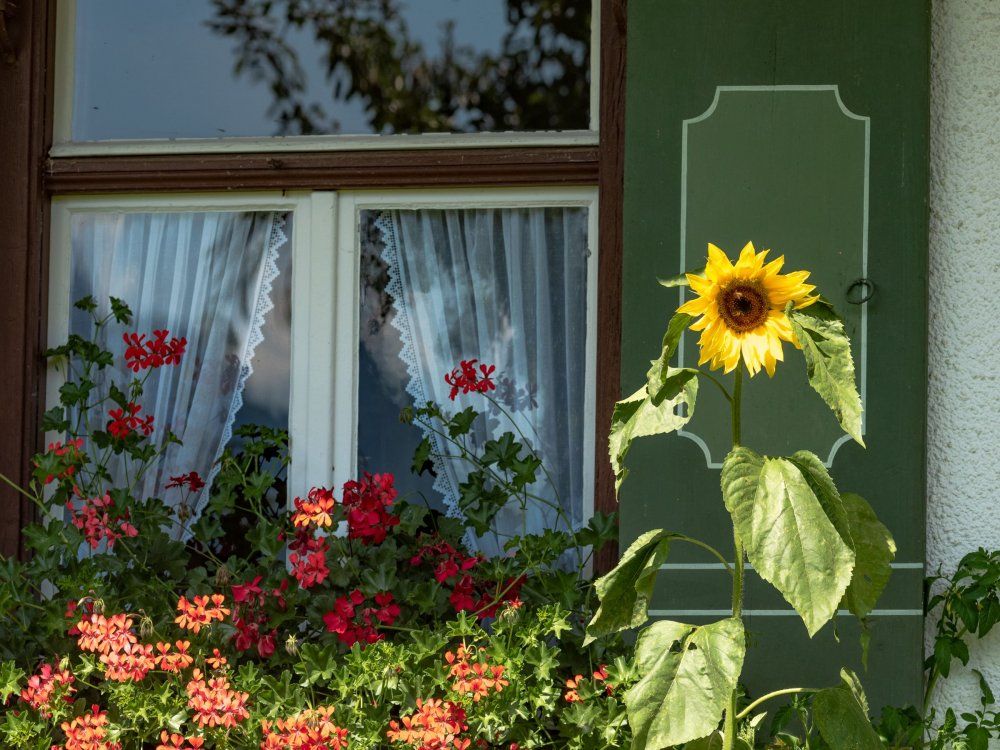 Ferienhof Böck Garten_002