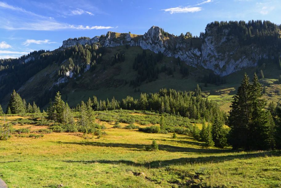 Vom Riedbergpass auf den Besler - 120 Millionen Jahre Erdgeschichte