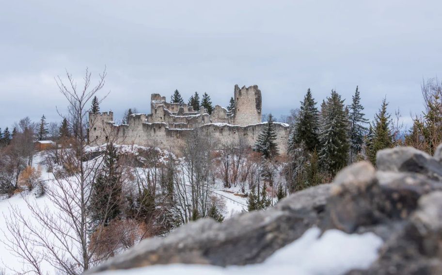 Blick vom Aussichtsturm auf die Burgruine Hohenfreyberg.