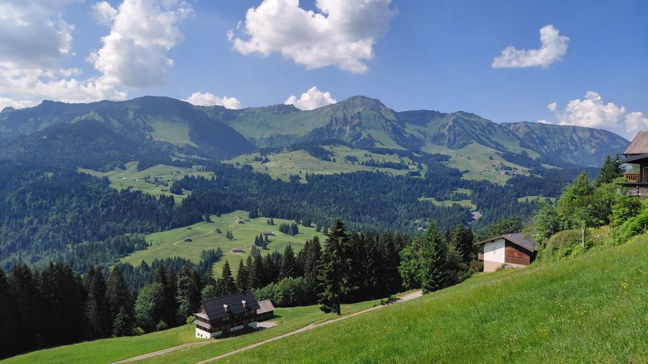 Blick auf den Winterstaudenkamm