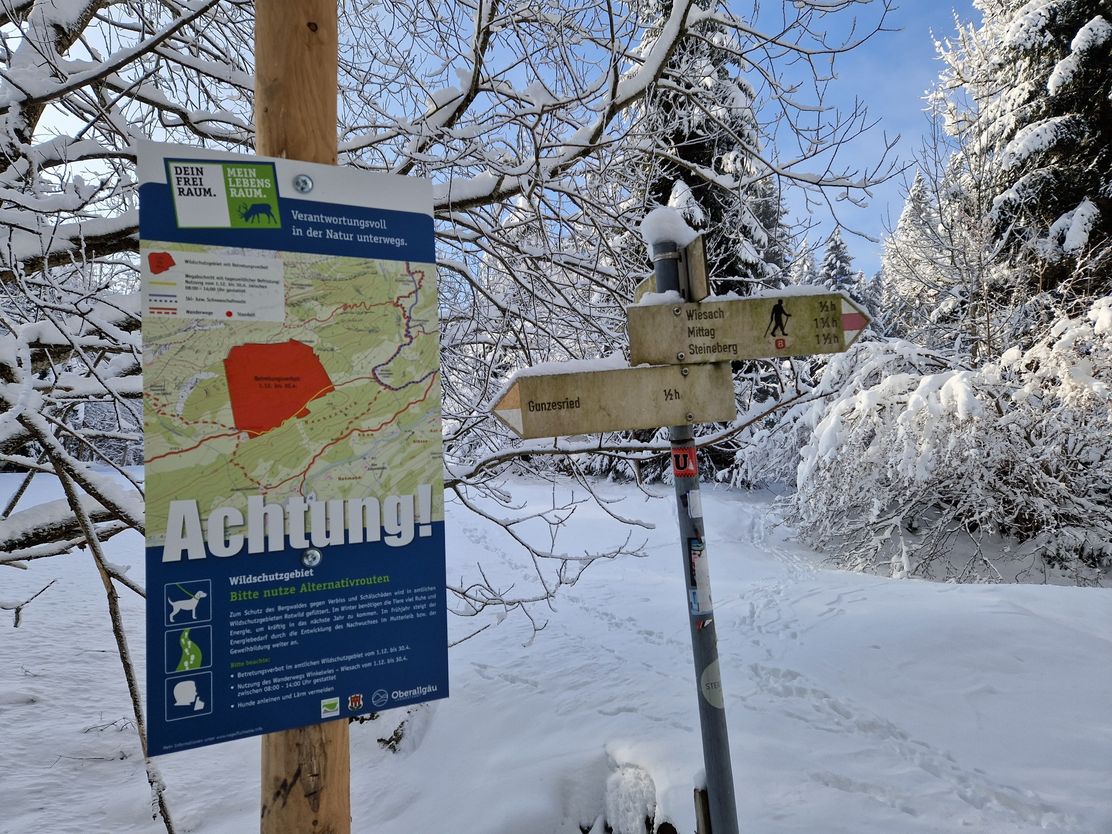 Winterwanderung von Gunzesried ins Wiesach