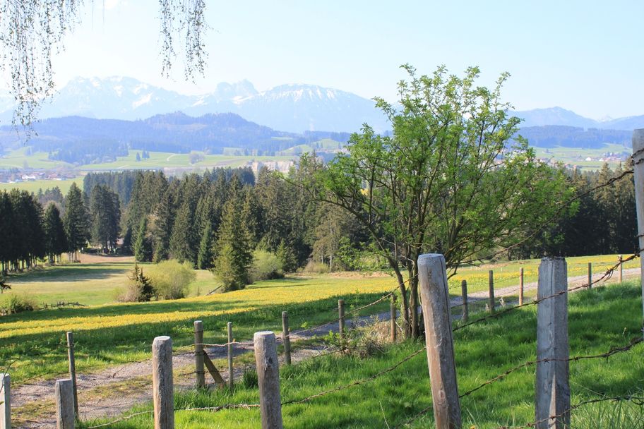 Wanderweg am Beichelstein