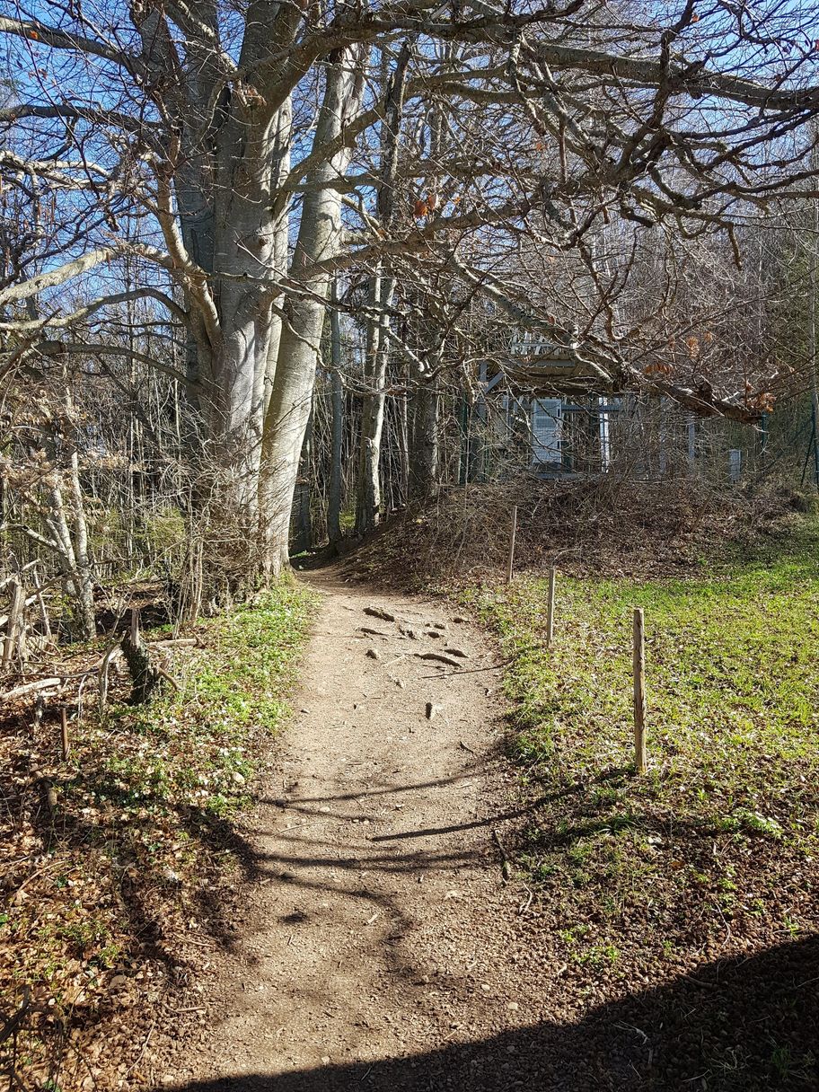 Auf dem Weg zum Auerberg