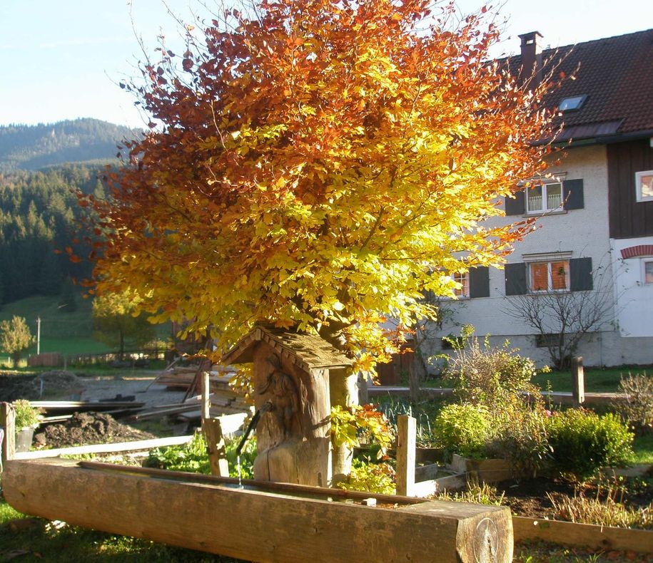Dorfbrunnen im Vordergrund