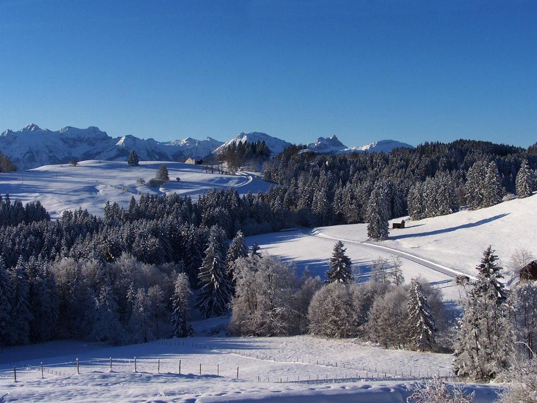 Winter in Roßhaupten