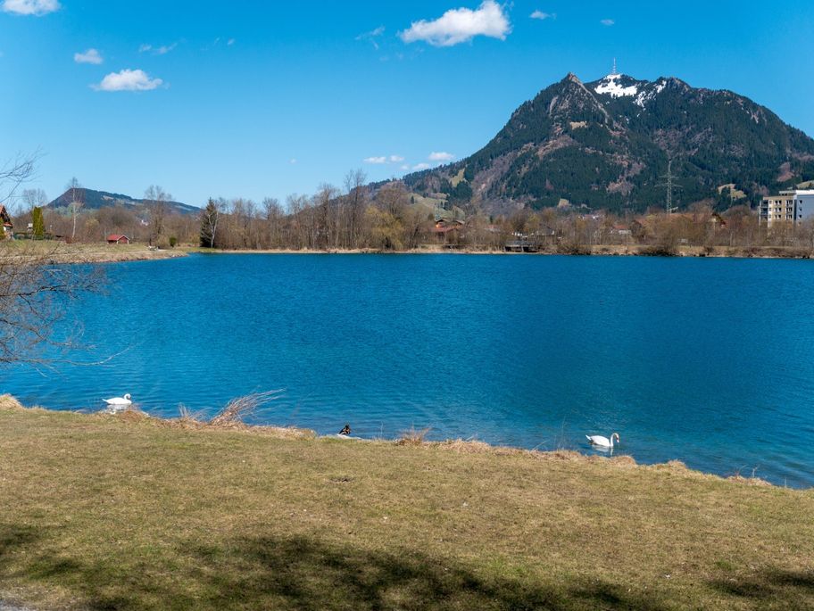 Blick vom Seeufer Richtung Grünten