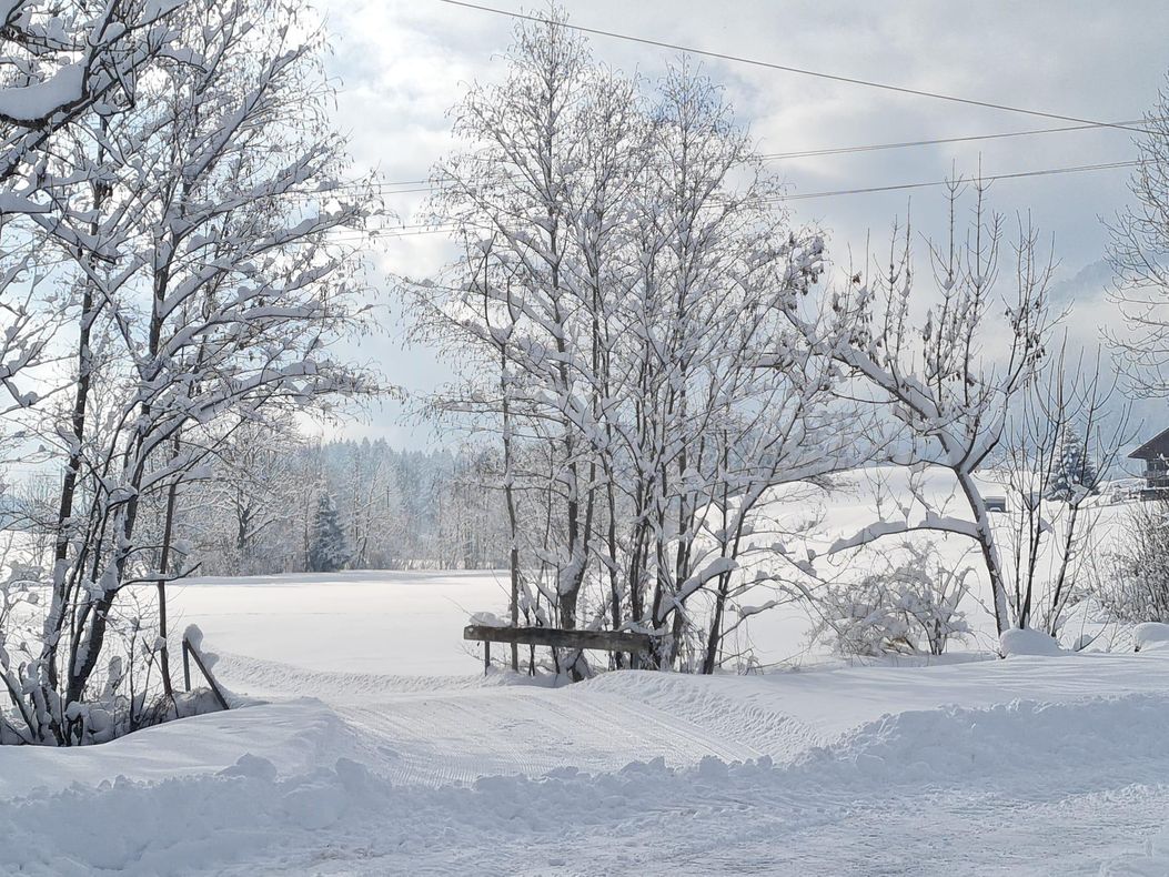 Winter 2026 Ferienhof Eberle Ofterschwang (7)