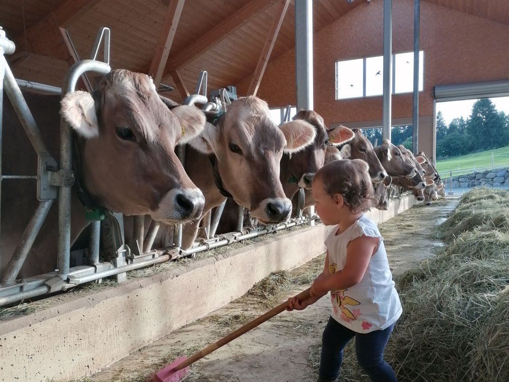 auchdiekleinstensindbeiderstallarbeitdabei