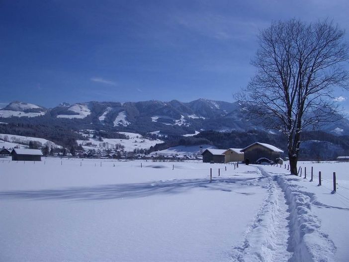 winterbild