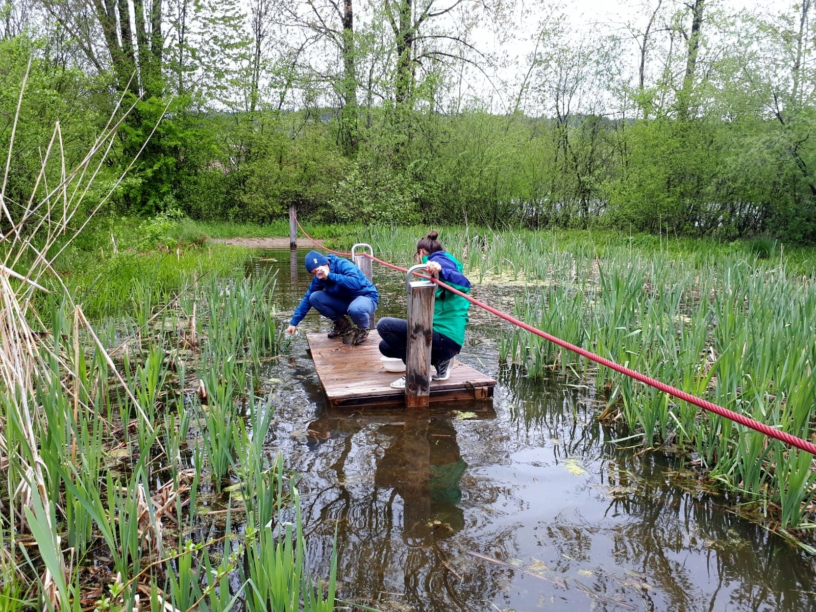 artenkenner-fortbildung-kosystem-bach-fluss-und-t-mpel-allg-u
