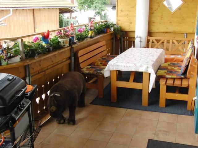 Balkon