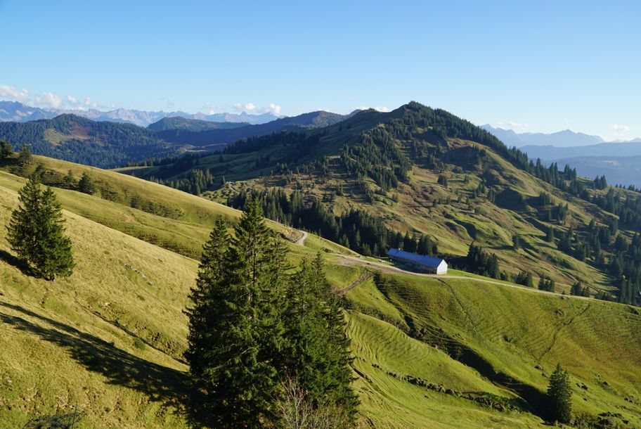 Blick auf die Alpe Obere Wilhelmine und Bleicherhorn