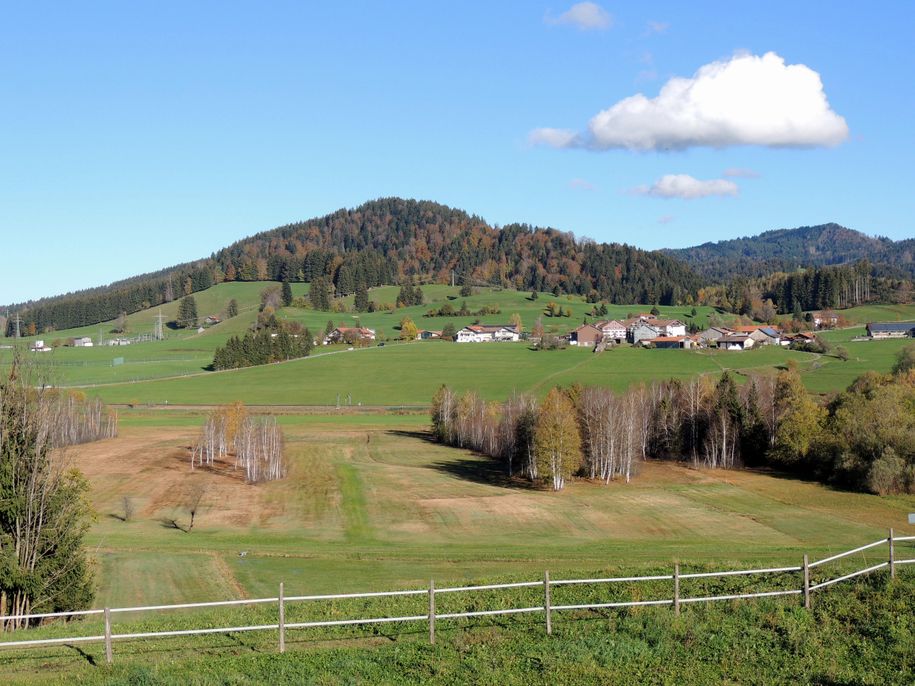 Aussicht Richtung Sinswanger Moos