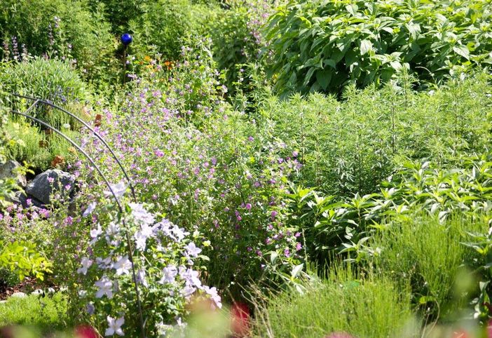 Unser Kräutergarten