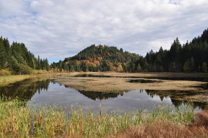 schlossweiher2