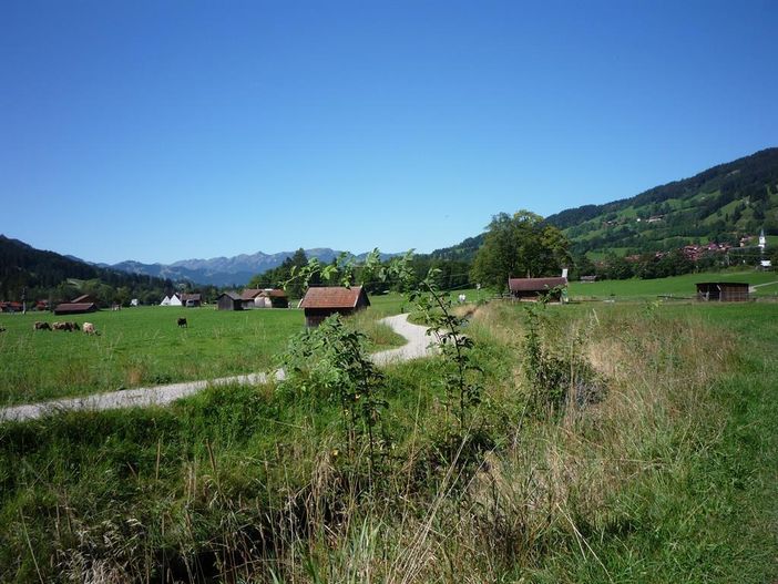Spazierweg durch saftige Wiesen